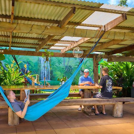 On The Wallaby Eco Lodge Yungaburra Ngoại thất bức ảnh