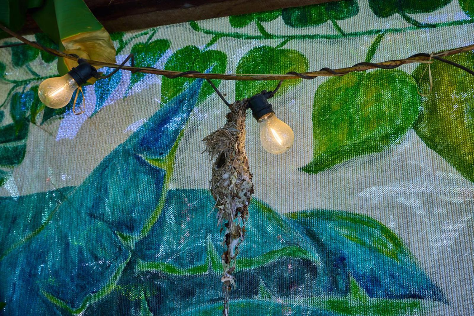 On The Wallaby Eco Lodge Yungaburra Ngoại thất bức ảnh