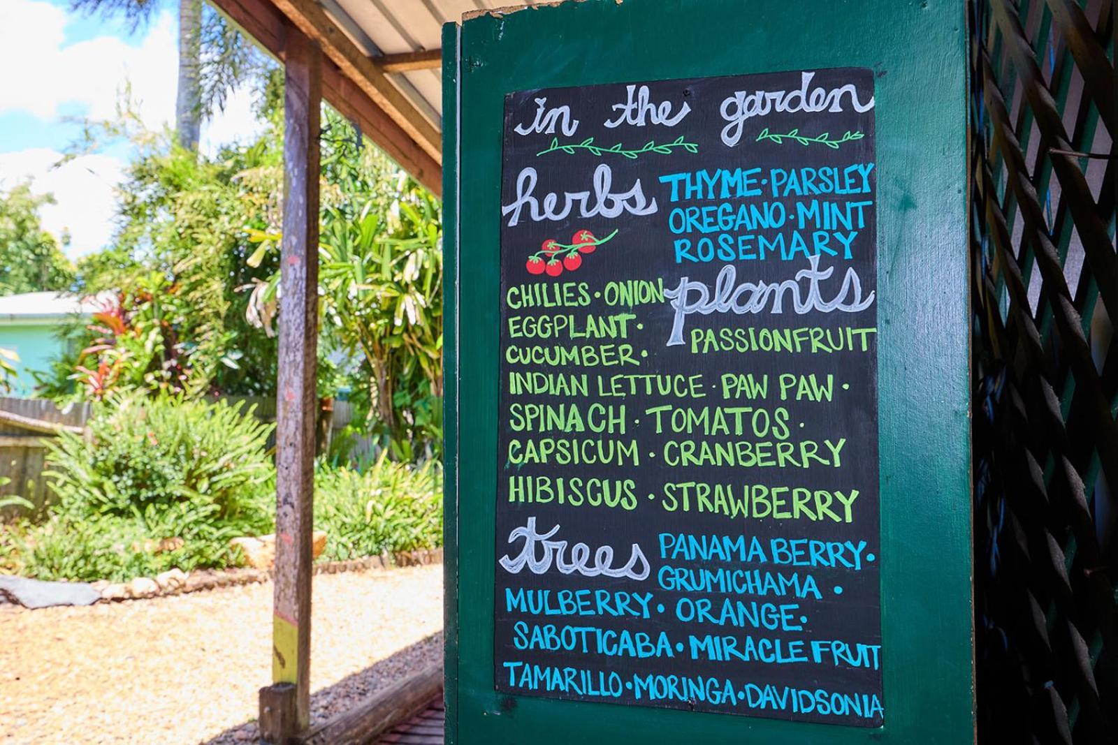 On The Wallaby Eco Lodge Yungaburra Ngoại thất bức ảnh