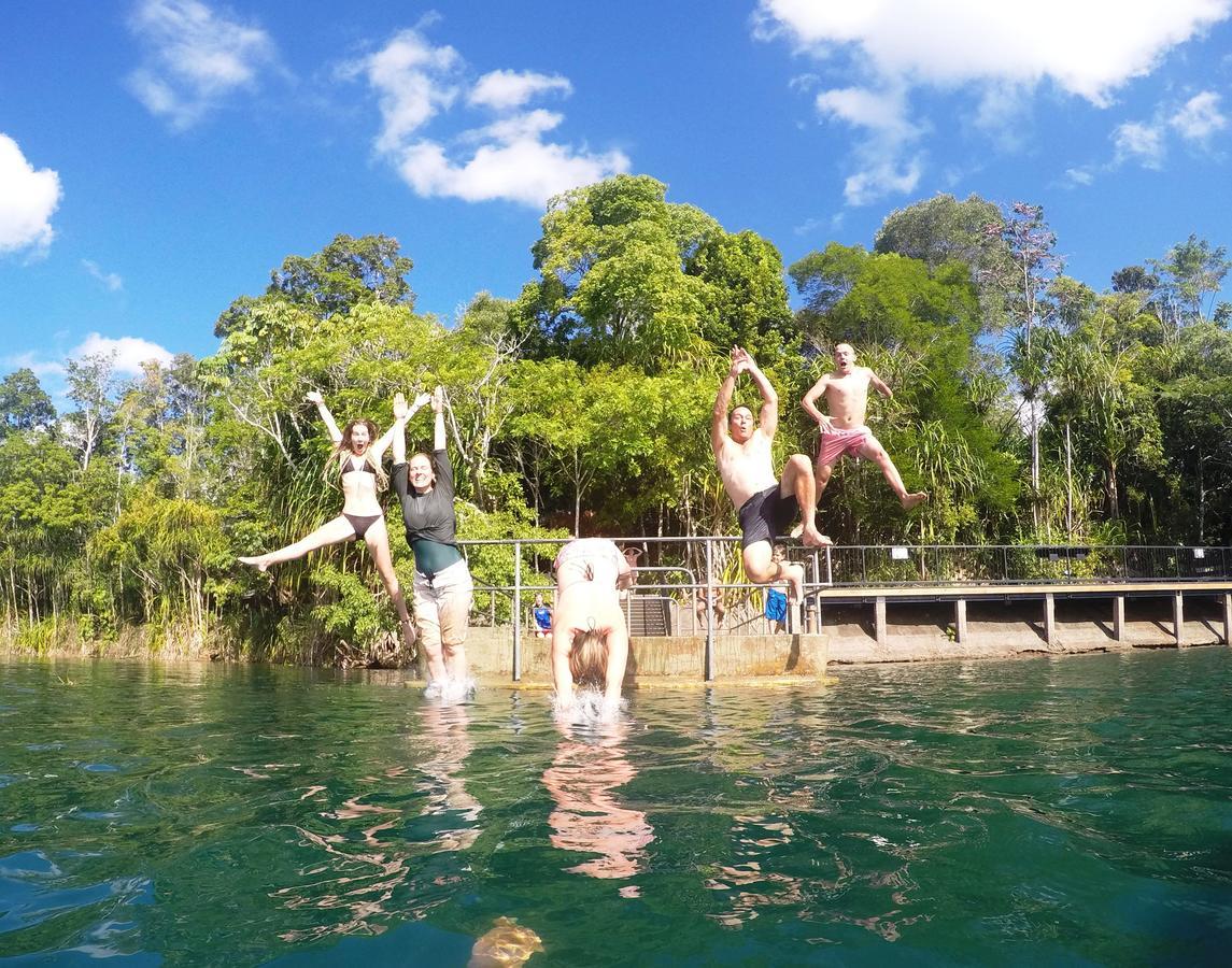 On The Wallaby Eco Lodge Yungaburra Ngoại thất bức ảnh